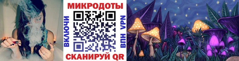 Галлюциногенные грибы Magic Shrooms  Купить  Миньяр 