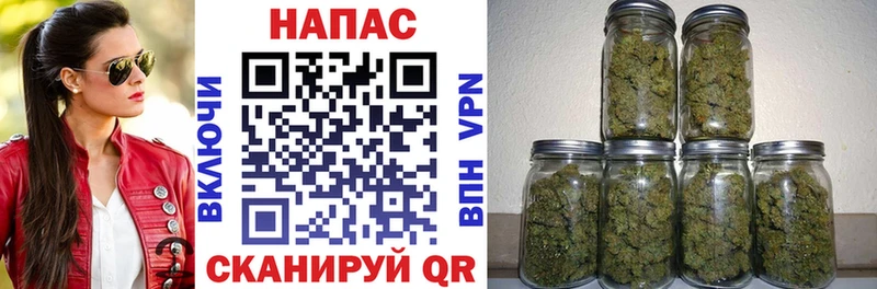 Купить где  Миньяр  Бошки марихуана план 